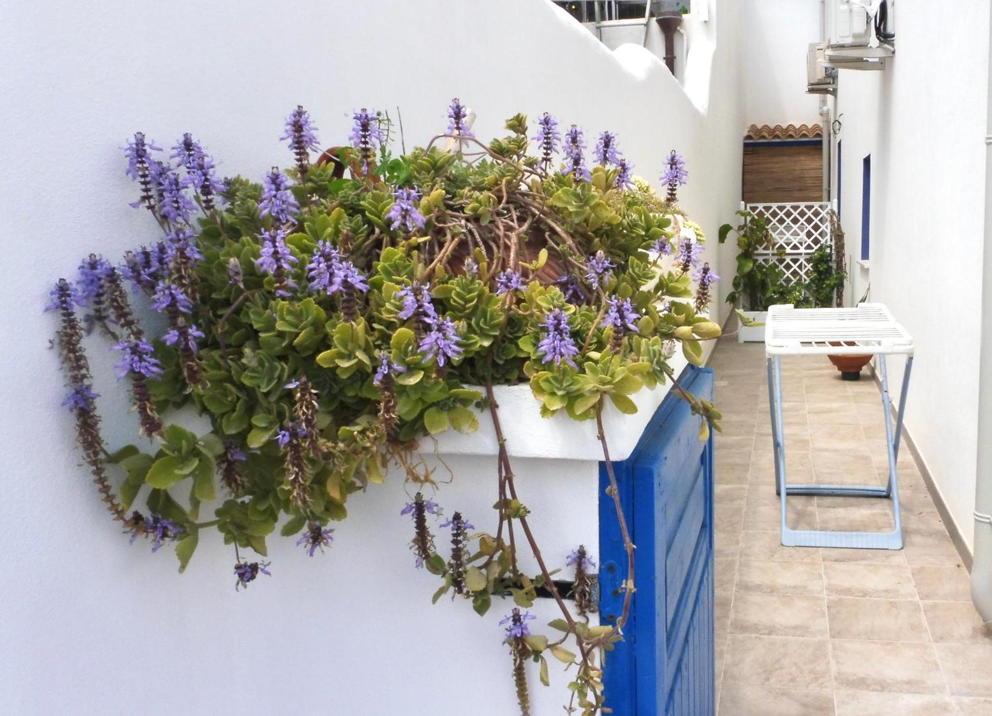 Sa Caletta Appartamenti Portoscuso Exteriér fotografie
